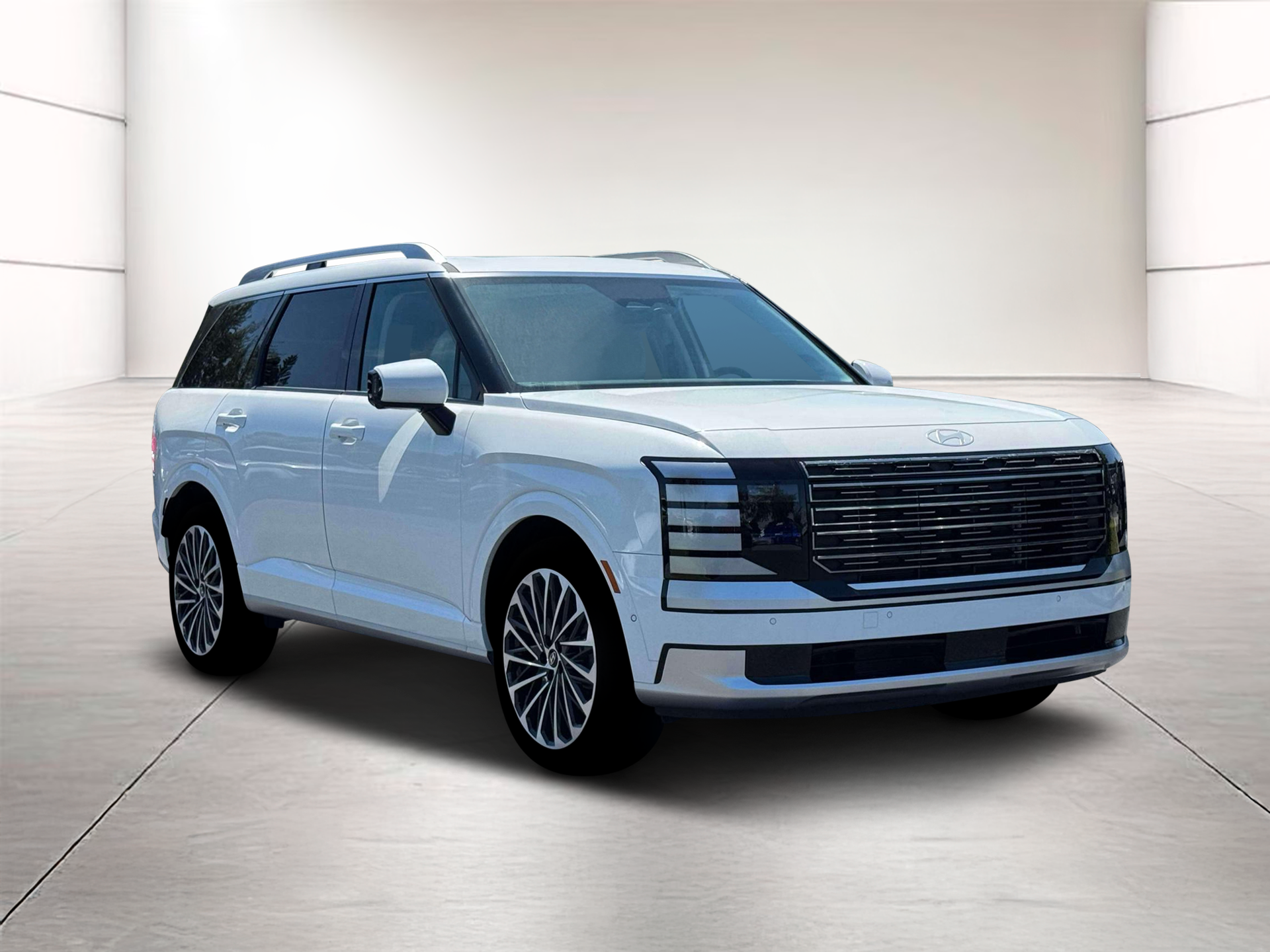 2026 Hyundai Palisade Calligraphy - Photo 11