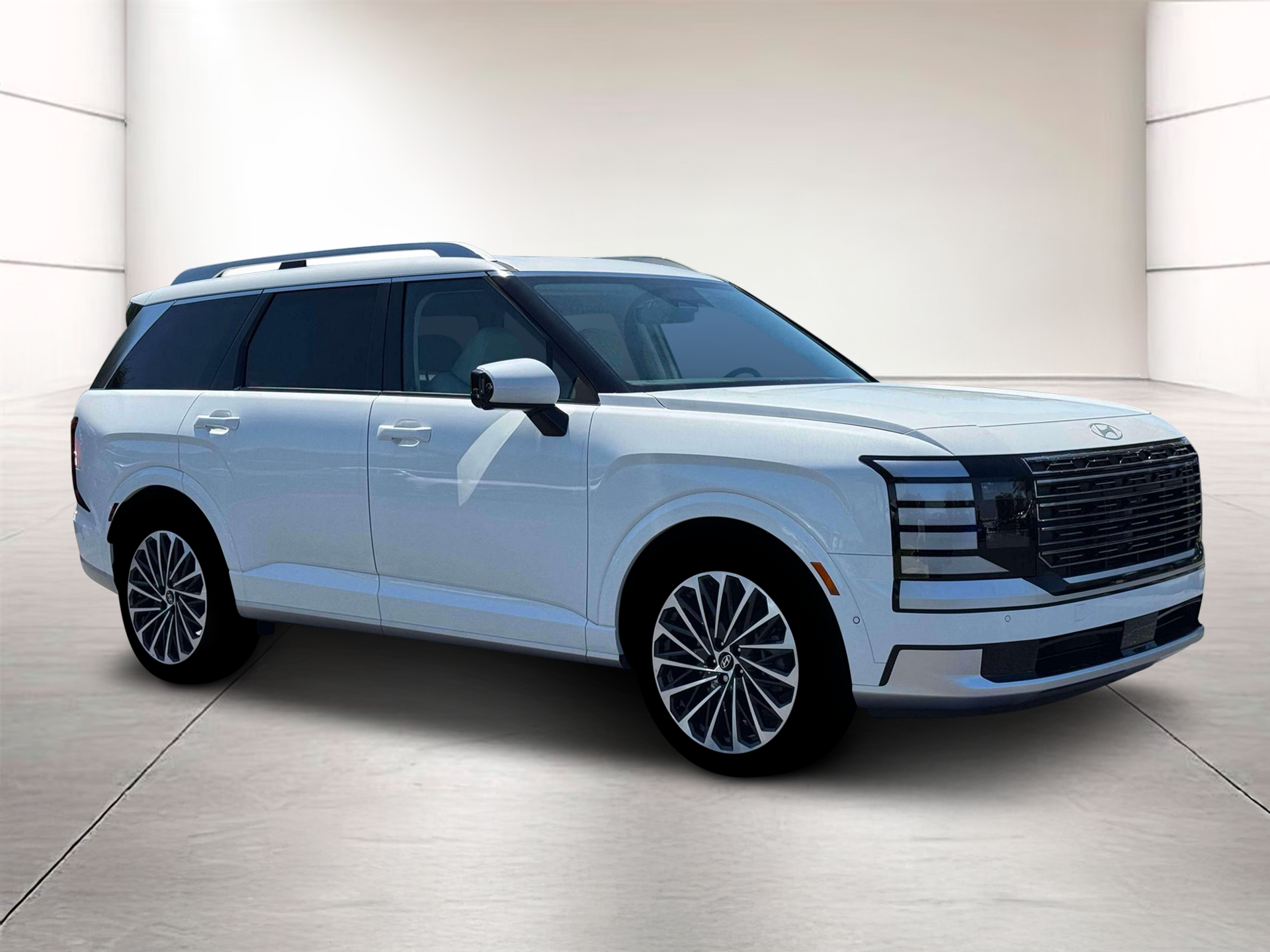 2026 Hyundai Palisade Calligraphy - Photo 10