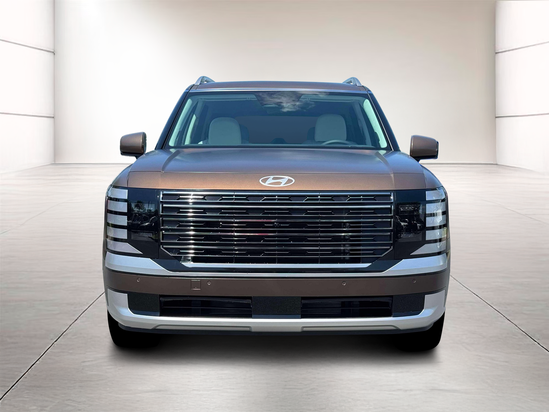 2026 Hyundai Palisade Calligraphy - Photo 12