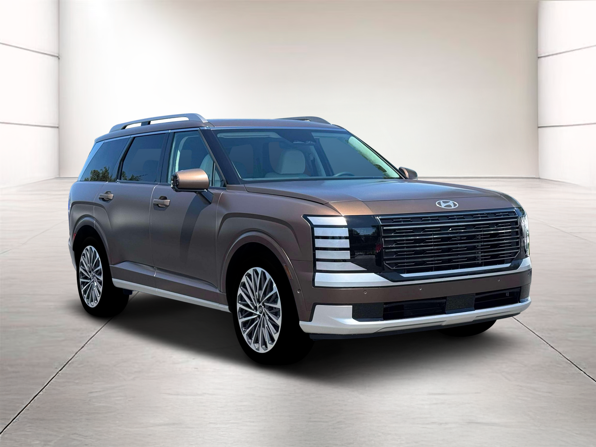 2026 Hyundai Palisade Calligraphy - Photo 11