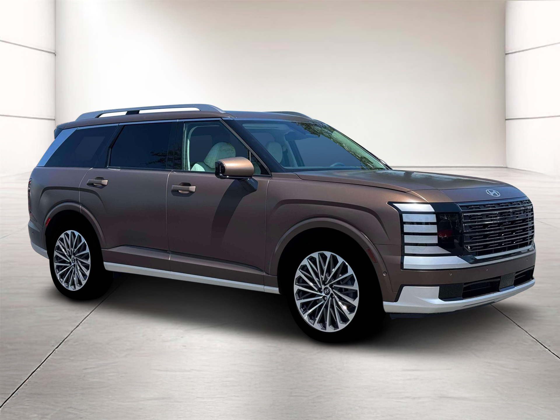 2026 Hyundai Palisade Calligraphy - Photo 10